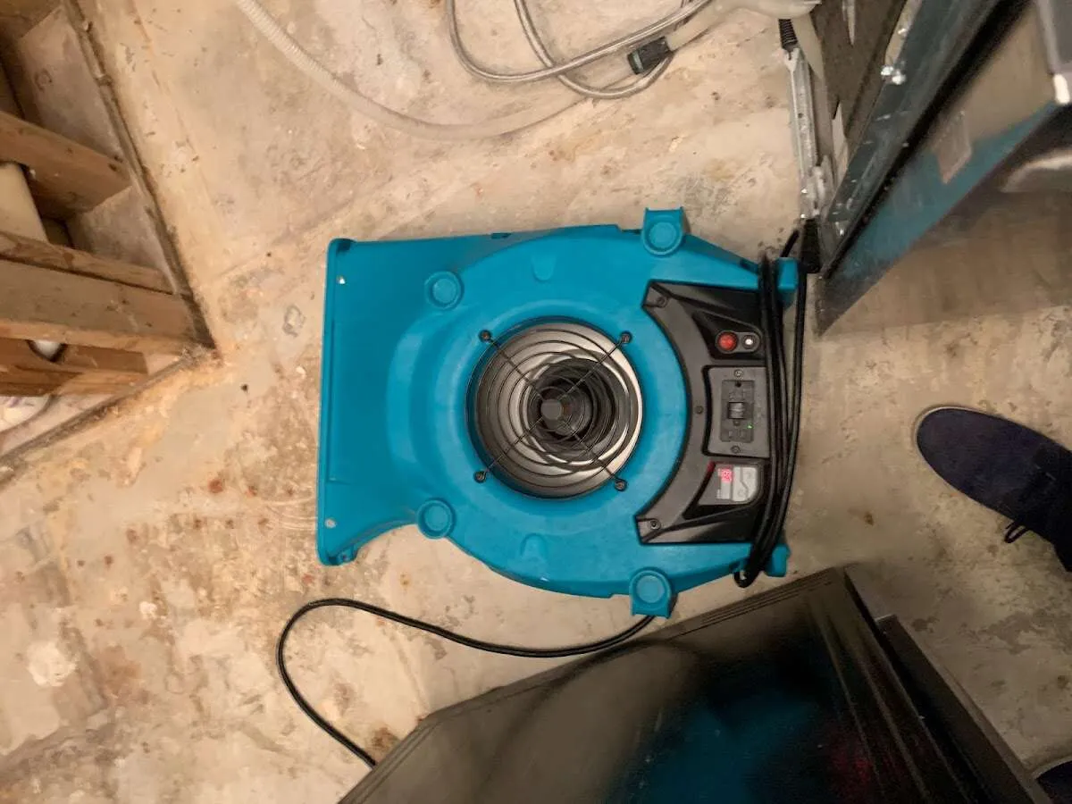 Air mover drying equipment for Mold Remediation & Removal in Monahans