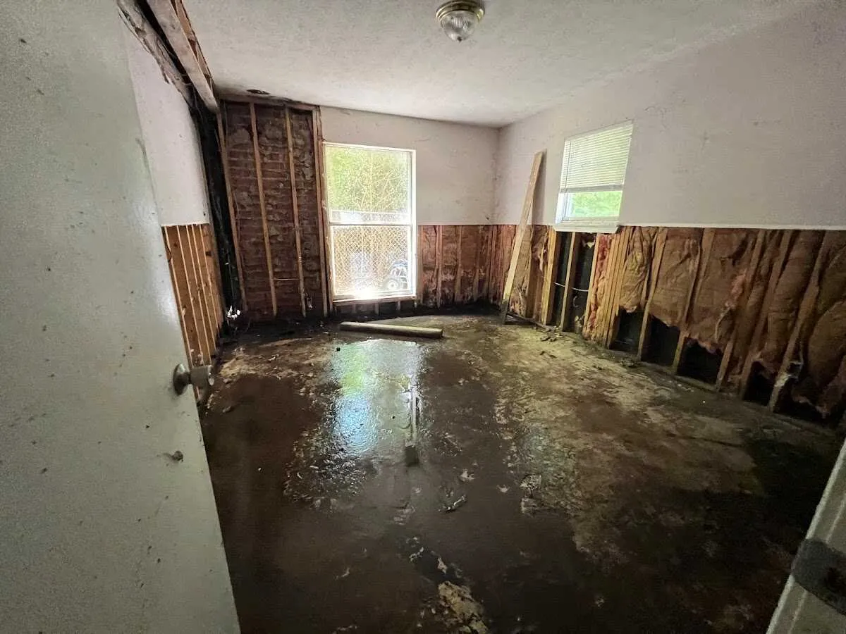 Water Damage Restoration services in Monahans, TX